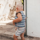 Scott | Dye Stripe | Multicolor