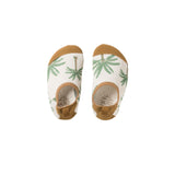 Crown Tree | Water Shoes | Shortbread