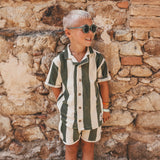 Solid | Sunglasses | Bronze Green