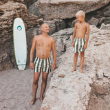 Wide Stripe | Swim Shorts | Bronze Green