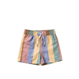 Multi Stripe | Swim Shorts | Multicolor
