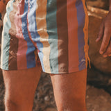 Multi Stripe | Swim Shorts Men | Multicolor