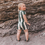 Wide Stripe | Trunks | Bronze Green