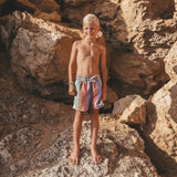 Multi Stripe | Swim Shorts | Multicolor