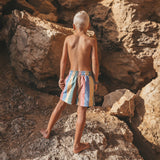 Multi Stripe | Swim Shorts | Multicolor