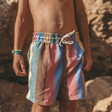 Multi Stripe | Swim Shorts | Multicolor