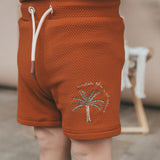 Solid | Swim Trunks | Bombay Brown