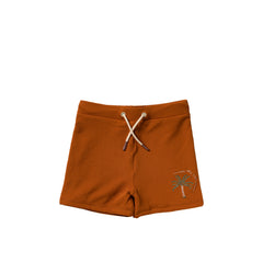 Solid | Swim Trunks | Bombay Brown