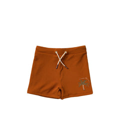 Solid | Swim Trunks | Bombay Brown