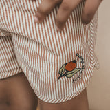 Seersucker | Swim Shorts | Bombay Brown