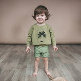 Shark | Swim Trunks | Iguana