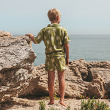 Beach Palms | Shorts | Iguana