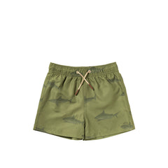 Shark | Swim Shorts | Iguana
