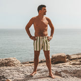 Wide Stripe | Swim Short Men | Iguana
