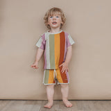 Multi Stripe | Regular Tee | Multicolor