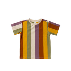 Multi Stripe | Regular Tee | Multicolor