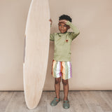 Multi Stripe | Swim Shorts | Multicolor