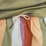 Multi Stripe | Swim Shorts | Multicolor