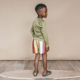 Multi Stripe | Swim Shorts | Multicolor