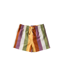 Multi Stripe | Swim Shorts | Multicolor
