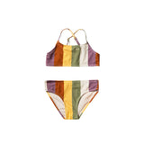 Multi Stripe | Bikini | Multicolor