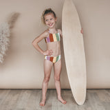 Multi Stripe | Bikini | Multicolor