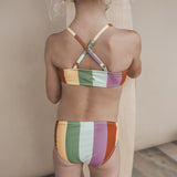 Multi Stripe | Bikini | Multicolor